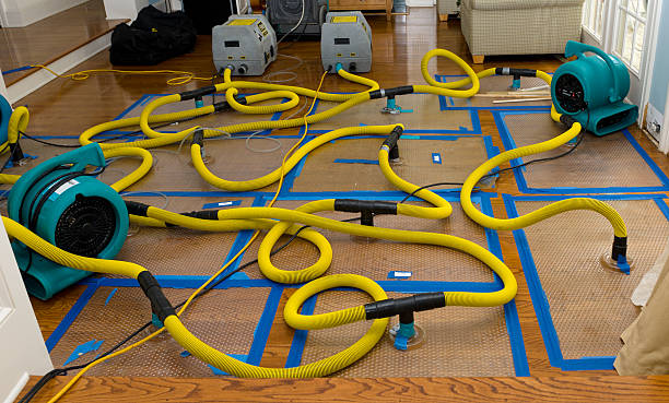 Professional Structural Drying And Dehumidification technician working in Bordentown, NJ