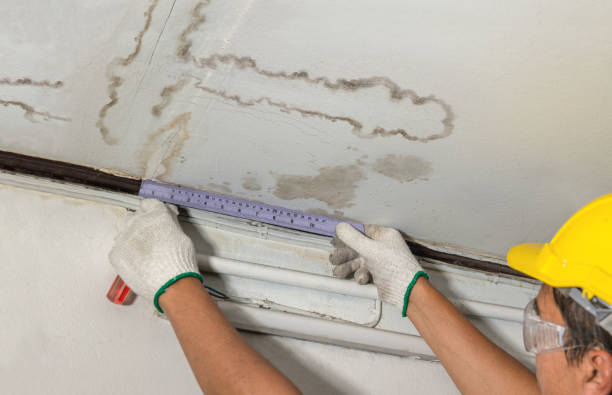Affordable Water Damage Repair solutions in Bordentown, NJ